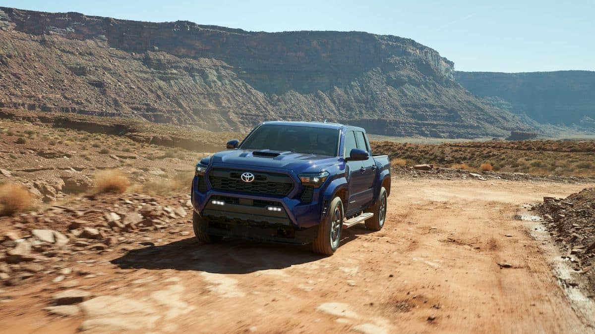 2024 Toyota Tacoma in Orlando