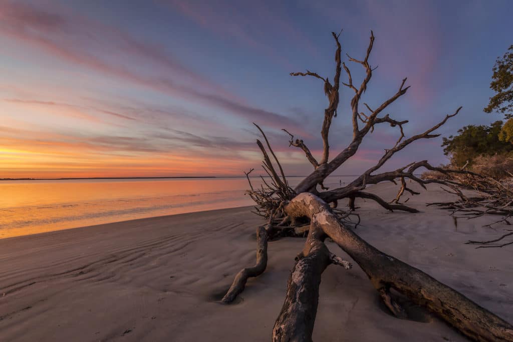 Driftwood Beach